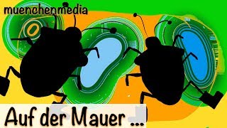 Kinderlieder deutsch / Kinderparty - Auf der Mauer auf der Lauer sitzt ne kleine Wanze