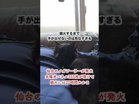 ソーラーバースト - 定義