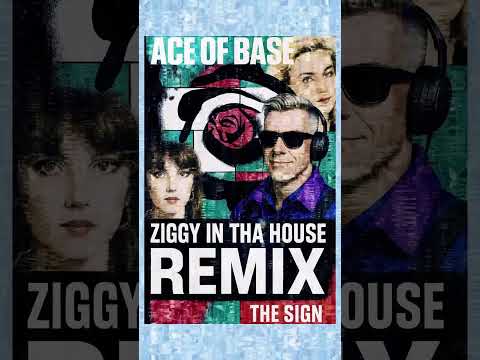 The Sign - Ziggy in tha House version 2026