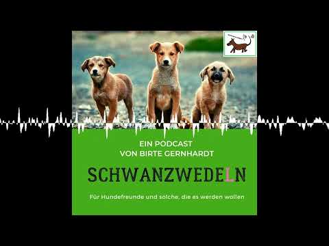 81 Verband für das Deutsche Hundewesen - VDH - Schwanzwedeln