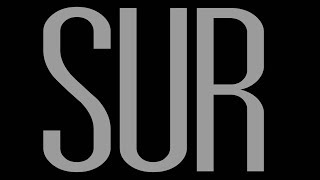 SUR, pinturas de Waldo Gómez Apablaza