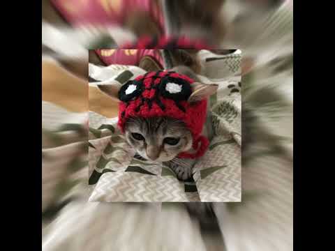 Same Old Love - Selena Gomez (sped up)