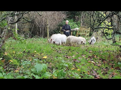 Morning Prayer – Saturday, 19th December 2020   Canterbury Cathedral