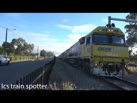 pacific national fright train (NR48)(NR41)