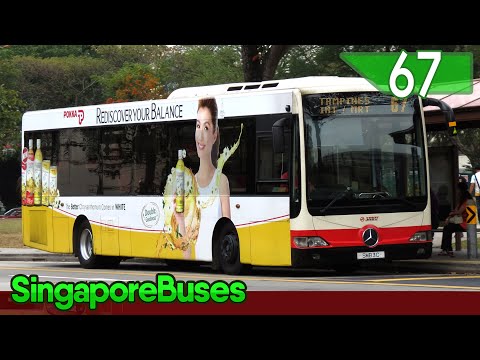 [SMRT] SMB3C @ 67 | Mercedes-Benz OC500LE (Batch 1) - Gemilang (ZF Ecomat)