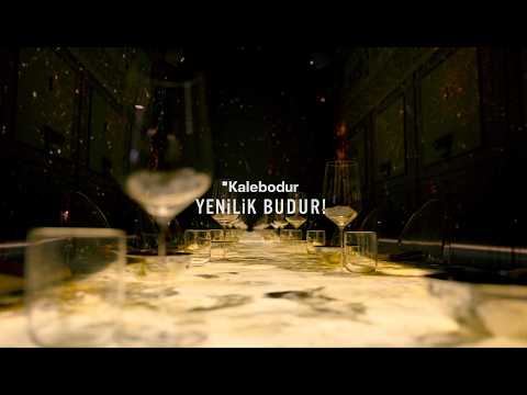  Translucent Ürün Lansmanı