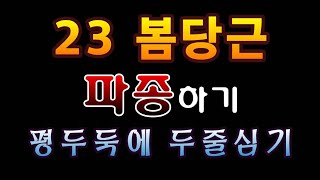 [텃밭농부.966]  23 봄당근 평두둑에 2줄심기로 파종하기 #봄당근 파종 #당근재배
