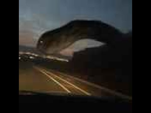 Highway Worm Sighting In Road Caught On Dashcam