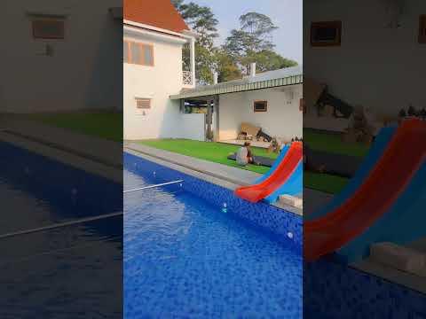 Video Proyek