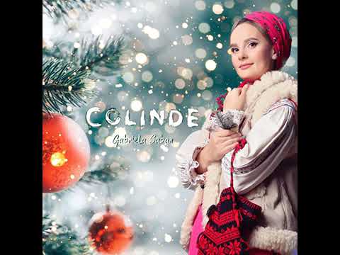 Iisus bine ai venit Vizionate