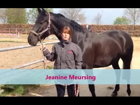 download lagu mp3 mp4 Pavo Sports Fit, download lagu Pavo Sports Fit gratis, unduh video klip Pavo Sports Fit