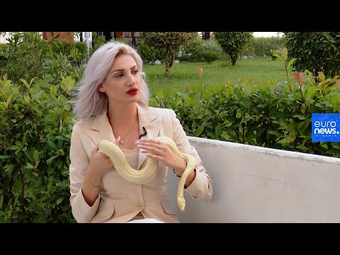 Të jetosh me një gjarpër, efektivja nga Elbasani: E kam anti-stres