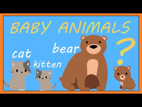 Baby Animals Song - Fun and Cute Animal Vocabulary Song for Kids and Toddlers│ Smiley Rhymes