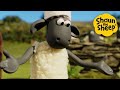 Chef Shaun Shaun The Sheep Cartoons For Kids Full Episodes Compilation 1 Hour