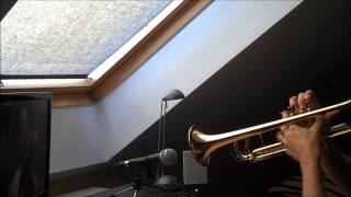 Blue Stahli - Scrape (acoustic trumpet cover)