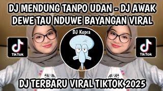 Download lagu DJ AWAK DEWE TAU NDUWE BAYANGAN || DJ MENDUNG TANPO UDAN TREND VIRAL TIKTOK 2025‼️STYLE VELOCITY mp3
