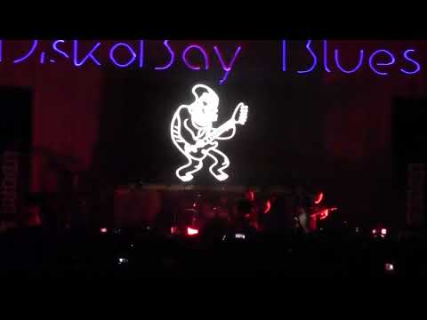 Disco Bay Blues akisuaneq fisteval 2022