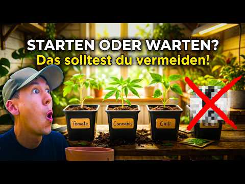 Startschuss Februar 🌱 Was du JETZT aussäen musst (und was warten kann)