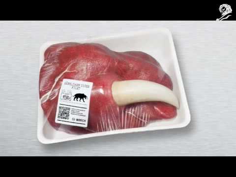 恐竜の肉、本日入荷 / BOSCH「Fresh Stone-Age Meat」