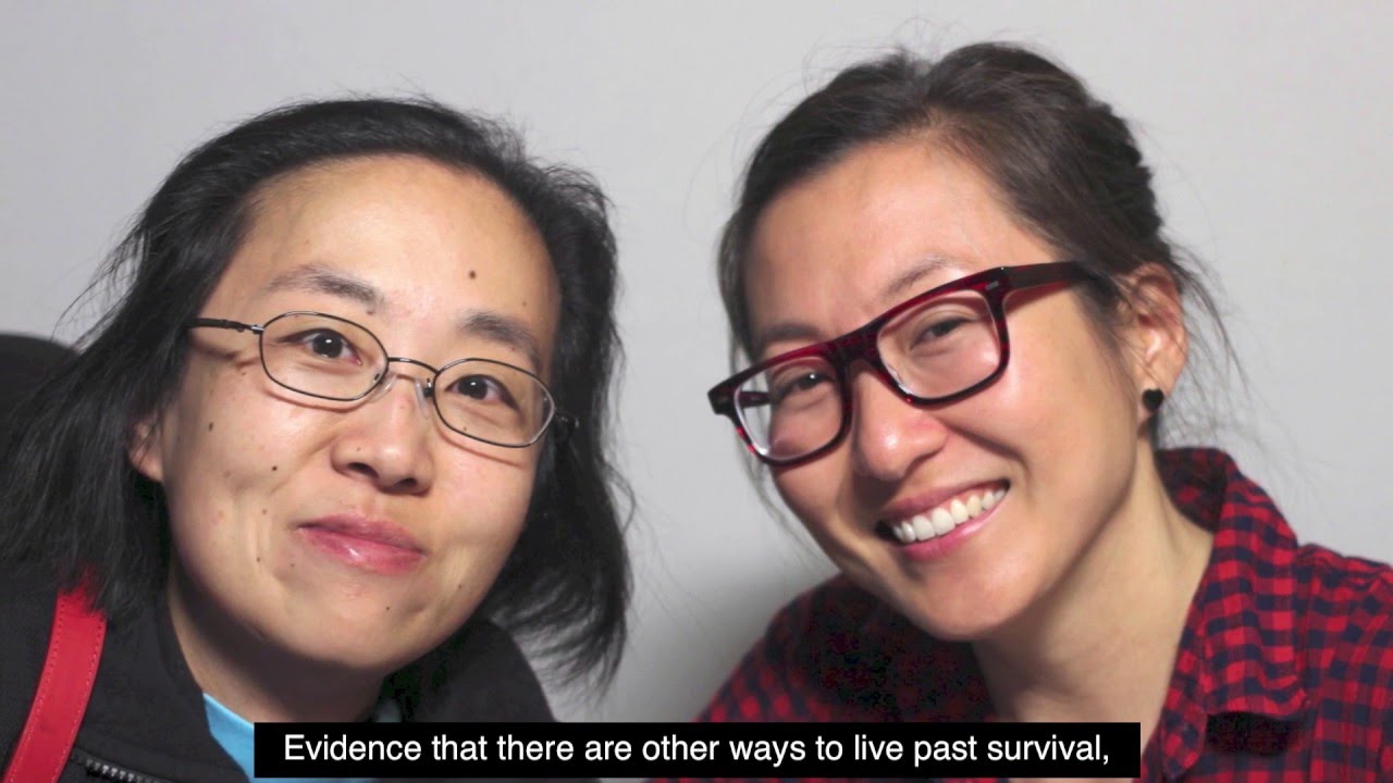 Disability Visibility Project Montage