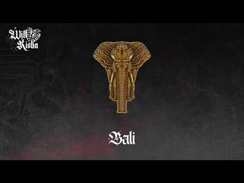 [FREE] Luv Resval x Diddi Trix Type Beat - "Bali" (Prod. Will Kisha)