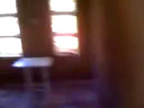 2011 Sítio Primavera (Família do Euro) Soledade de Minas-MG