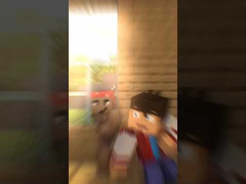 Camera Punch Test | Minecraft Animation