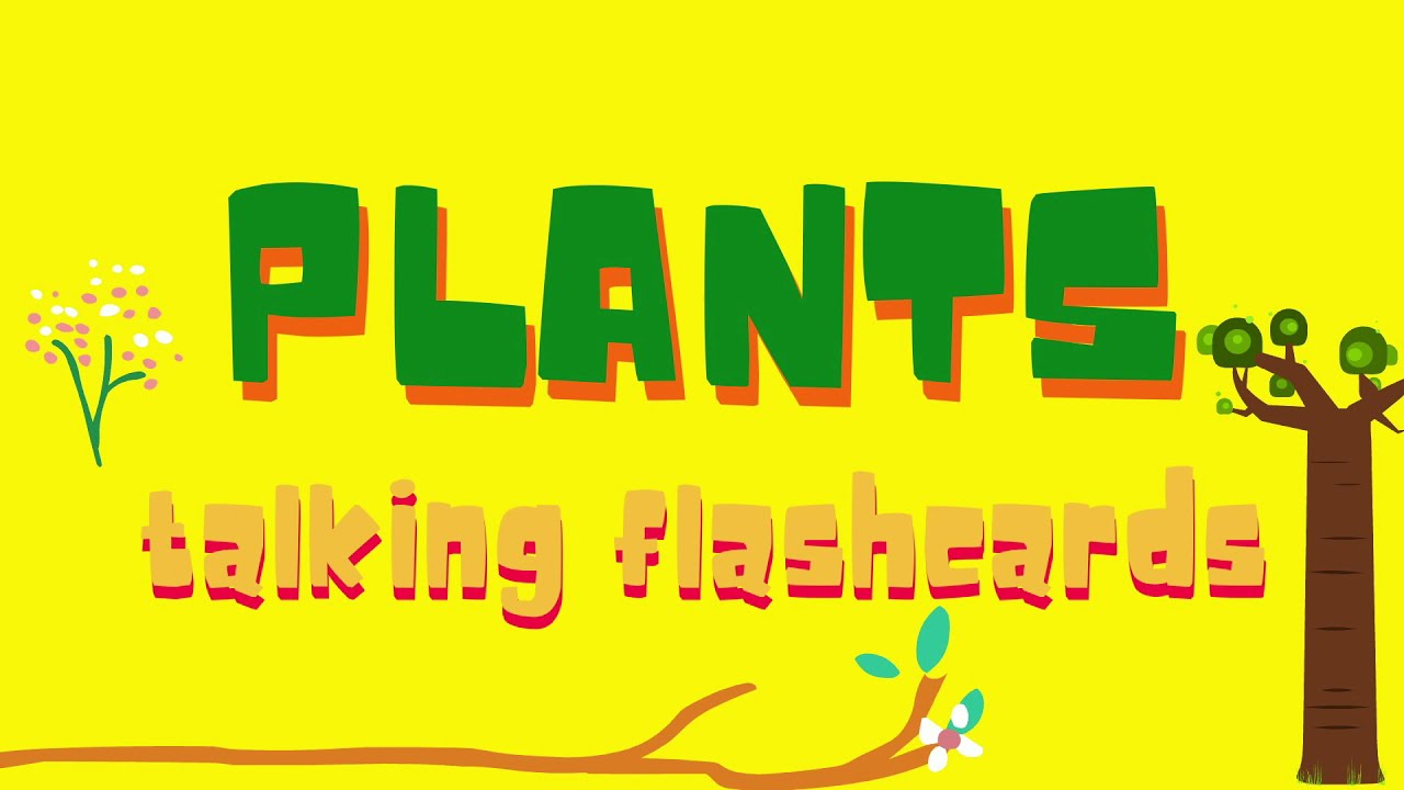 Plants talking flashcards