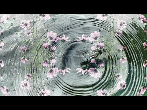 My Secret Garden - Video Art Project -
