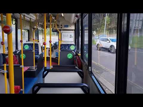 Sydney Buses 2491 ST - Scania K280UB (ZF Ecomat)