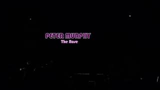 Peter Murphy - The Rose @C3 Stage &quot;Indica Fest&quot; Guadalajara 2016