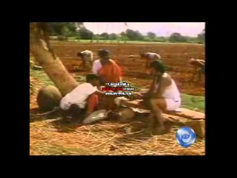 Vadivel Comedy from Kizhaku seemaiyilae