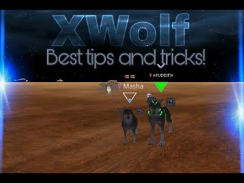 X-Wolf BEST TIPS AND TRICKS! AND HOW TO LEVEL UP FAST!