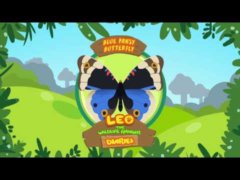 Witness21 Editor  2019 03 13