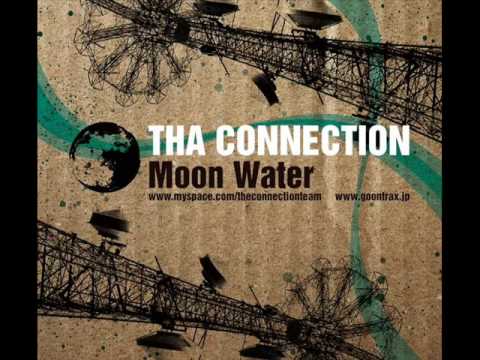 Tha Connection-Hibernation (remix)