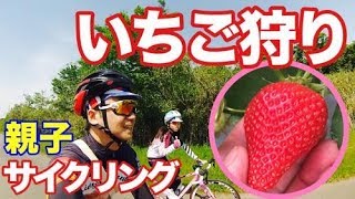 親子で『いちご狩り』サイクリング行ってきた！ 予告編