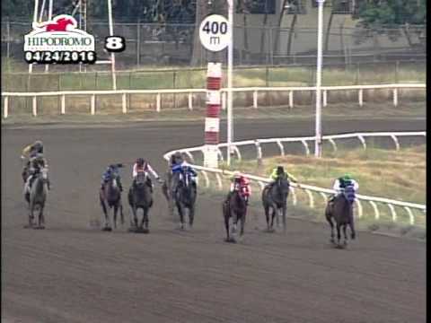 8VA CARRERA DEL DOMINGO 24 DE ABRIL DE 2016 HPR