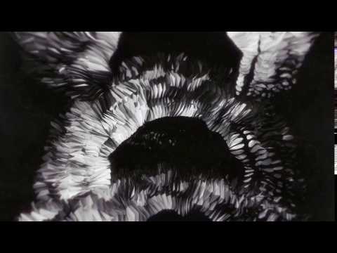 Fractal Harmony Vj Loop