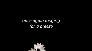 if - elsa kopf lyrics (one more happy ending ost)