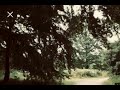 The Wind In The Willows Main Theme Slowed Anti Nightcore Slowed And Reverb Tragedy Remix