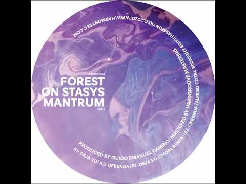 MNMT Premiere: Forest On Stasys – Ofrenda (Alfred Czital Midnight Edit)