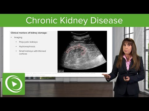 Chronic Kidney Disease: Definition with Case – Nephrology | Lecturio