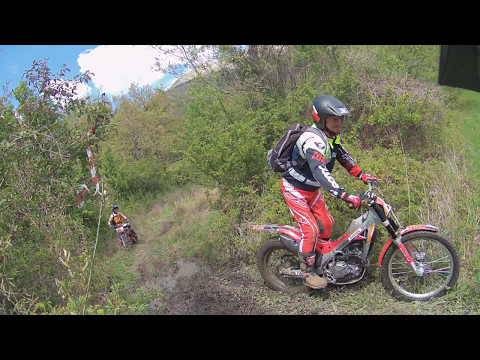 Prati e boschetti   Mulatrial delle capre