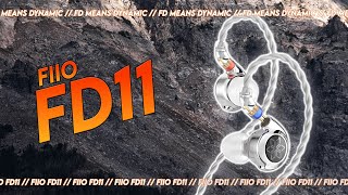 Fiio FD11, a Cheapie from FIIO!