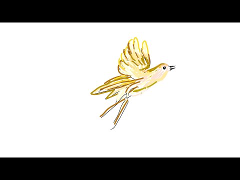 Amity Band - Nightingale@ Live in Tel-Aviv Jan 11th 2023