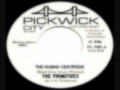 The Primitives "The Human Centipede ...