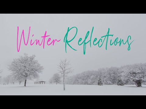 Winter Reflections