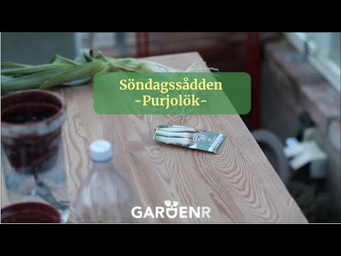 Purjolök och sista frosten - Trädgårdshacks med GardenR