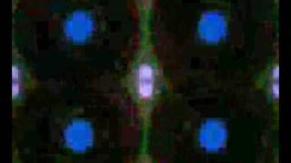 SILVER APPLES Lovefingers & Program