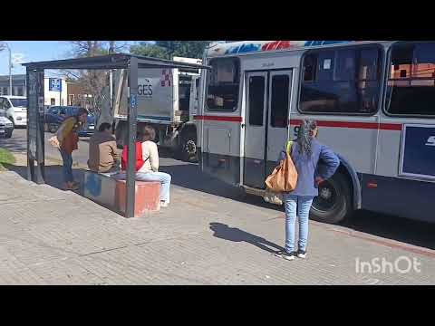 La Teja: rincones que te van a sorprender 👀